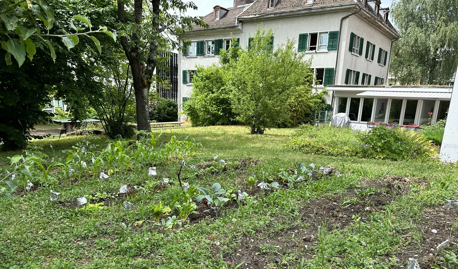 jardin1