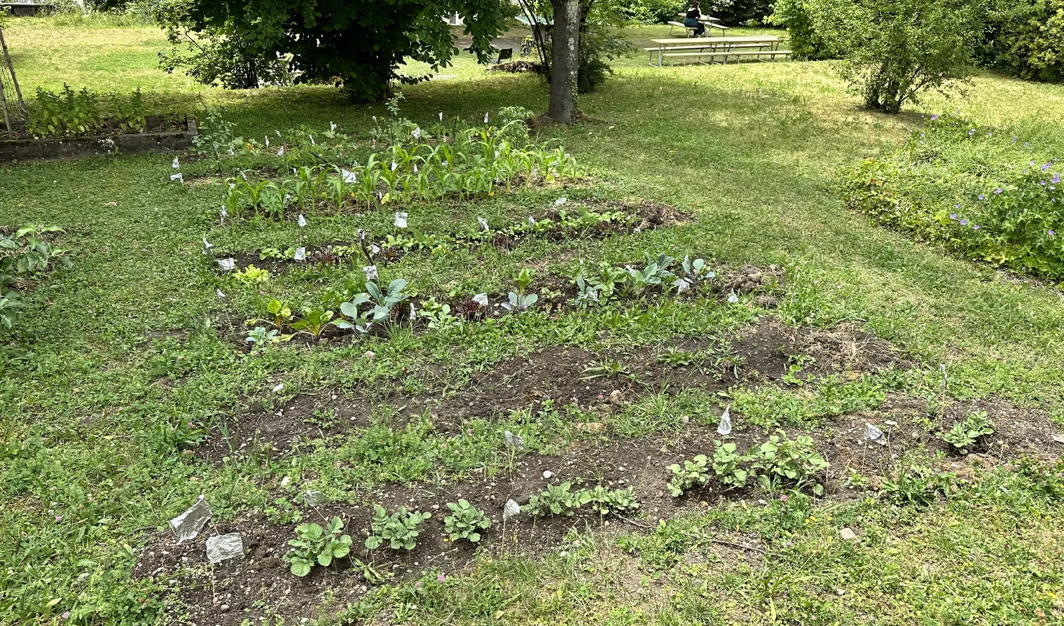jardin2